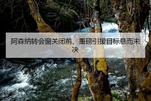 阿森纳转会窗关闭前，重磅引援目标悬而未决