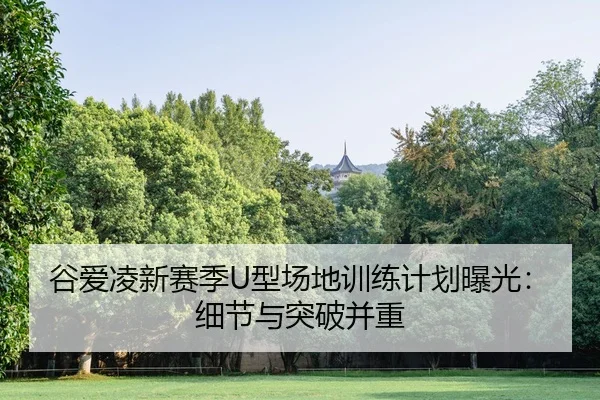 谷爱凌新赛季U型场地训练计划曝光：细节与突破并重