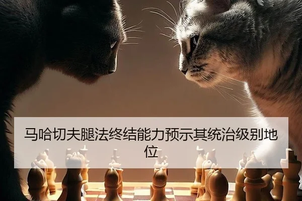 马哈切夫腿法终结能力预示其统治级别地位