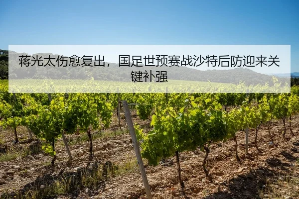 蒋光太伤愈复出，国足世预赛战沙特后防迎来关键补强