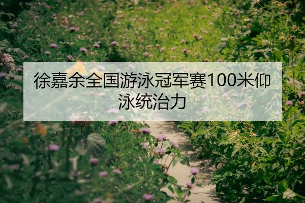 徐嘉余全国游泳冠军赛100米仰泳统治力