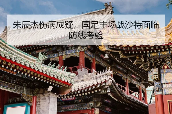 zhu-chen-jie-shang-bing-cheng-yi-guo-zu-zhu-chang-zhan-sha-te-mian-lin-fang-xian-kao-yan-2-808.jpg