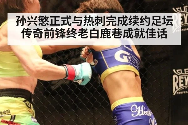 孙兴慜正式与热刺完成续约足坛传奇前锋终老白鹿巷成就佳话