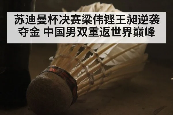 苏迪曼杯决赛梁伟铿王昶逆袭夺金 中国男双重返世界巅峰